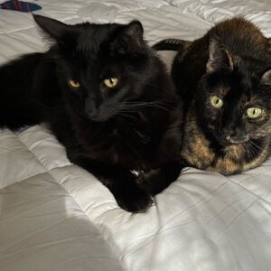 Meet your Posher, Lydia